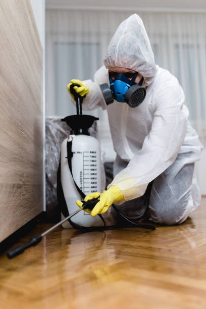 Best Residential Pest Control  in Dover, NJ